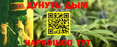 гидра Камышлов