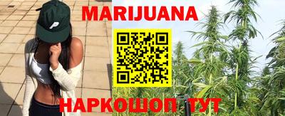 гидра Камышлов