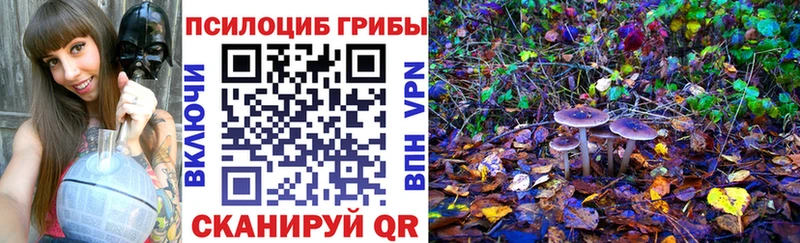 мега маркетплейс Екатеринбург Галлюциногенные грибы ЛСД