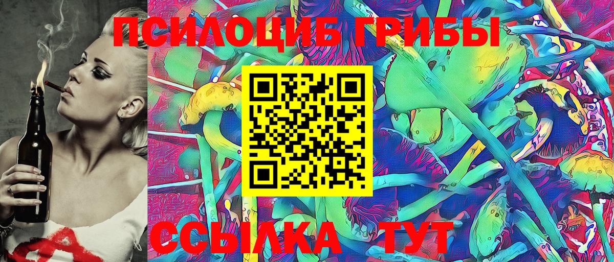 Екатеринбург  Псилоцибиновые грибы Psilocybine cubensis  где продают   Вход с VPN 